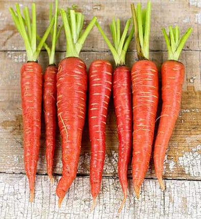 Colorful Carrot Collection, Seed Kit, -- BoxGardenSeedsLLC -Seed Collections - Seeds