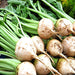 White Albino, Beets, - BoxGardenSeedsLLC -Beet,Turnips,Parsnips - Seeds