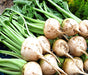 White Albino, Beets, -- BoxGardenSeedsLLC -Beet,Turnips,Parsnips - Seeds