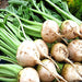 White Detroit, Beets, - BoxGardenSeedsLLC -Beet,Turnips,Parsnips - Seeds