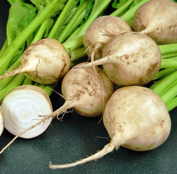 White Albino, Beets, - BoxGardenSeedsLLC -Beet,Turnips,Parsnips - Seeds