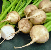 White Albino, Beets - BoxGardenSeedsLLC - Beet,Turnips,Parsnips - Seeds - USA Seller, Thank you for shopping here today, Naturally Grown GMO Free Seeds, Heirloom Open Pollinated Seeds, Fresh Top Quality Premium Seeds