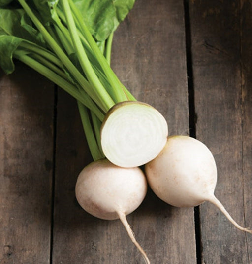 White Albino, Beets, - BoxGardenSeedsLLC -Beet,Turnips,Parsnips - Seeds