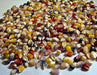 Glass Gem, Cherokee Popcorn, -- BoxGardenSeedsLLC -Corn - Seeds