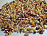 - BoxGardenSeedsLLC - Glass Gem, Cherokee Popcorn, - Corn - Seeds