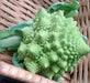 Romanesco Italian, Broccoli, -- BoxGardenSeedsLLC -Broccoli,Cauliflower - Seeds