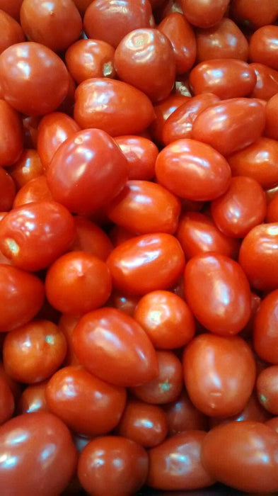 Roma VF Paste, Tomato, - BoxGardenSeedsLLC -Abundant Stock SALE - Seeds