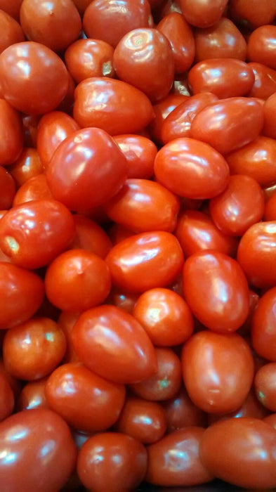 - BoxGardenSeedsLLC - Roma VF Paste, Tomato, - - Seeds