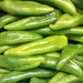 NuMex Joe E Parker, Hot Pepper, - BoxGardenSeedsLLC -Peppers,Eggplants - Seeds