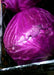 Cabbage, Red Express, -- BoxGardenSeedsLLC -Cabbage, Kale - Seeds