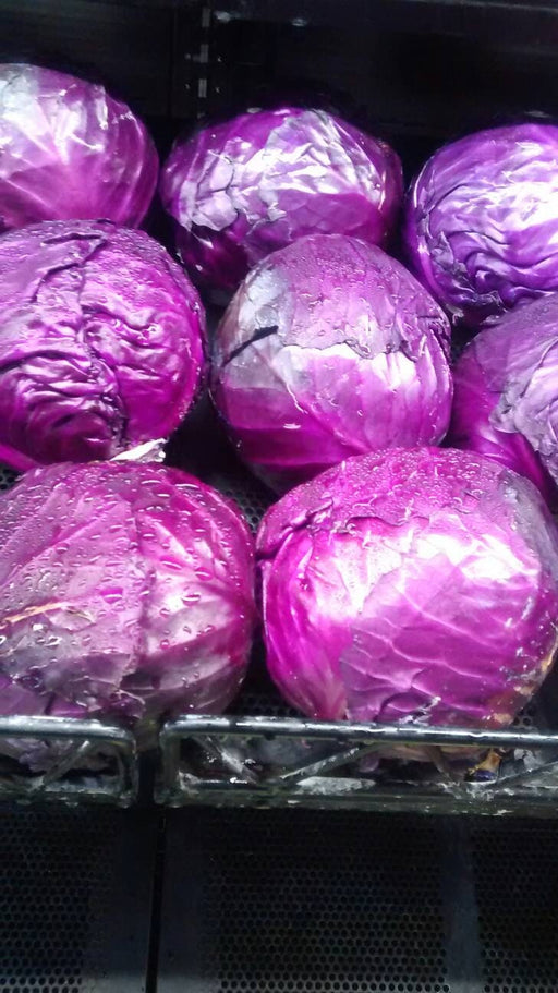 - BoxGardenSeedsLLC - Cabbage, Red Express, - Cabbage, Kale - Seeds
