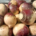 American Purple Top, Rutabaga, - BoxGardenSeedsLLC -Beet,Turnips,Parsnips - Seeds