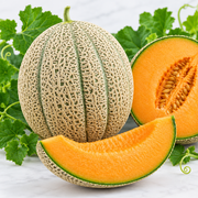 Hales Best Jumbo cantaloupe whole and cut open showing heavily netted tan-beige ribbed rind and bright vivid orange fine-textured flesh with small seed cavity, fresh melon leaves in background