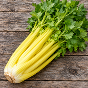Golden Self-Blanching celery freshly harvested bunch with thick crisp pale golden-yellow inner stalks and bright green leaves on a rustic wood surface