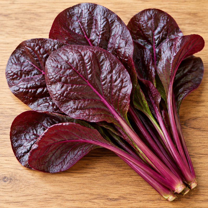 Red Komatsuna freshly harvested deep burgundy-red leaves with reddish-purple stems on a natural surface, seed catalog style product shot