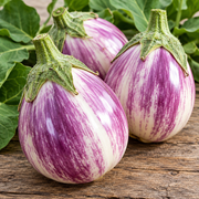 Rosa Bianca eggplant close-up showing two ripe round teardrop-shaped fruits with rosy-lavender and creamy white streaked glossy skin and green calyx on a rustic wood surface