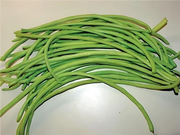 Green yard long bean pods harvested, long slender bright green pods up to 30 inches bundled together