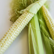 Japanese Hulless Popcorn — Close-Up