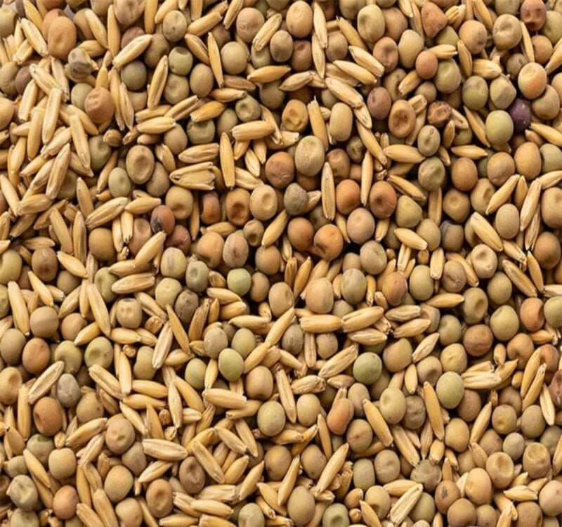 Oats and Peas Cover Crop Seed Mix