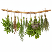 Premium 12 Herb Bundles