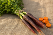 Purple Carrot — Harvest with Sliced Interior