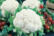 Snowball Y Improved Cauliflower — Market