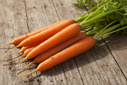 Tendersweet Carrot — Harvest