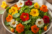 Whirlybird Mix Nasturtium — Edible Flower Salad