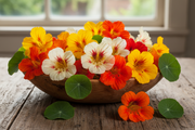 Whirlybird Mix Nasturtium — Rustic Bowl